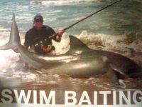Swim baiting-small.jpg