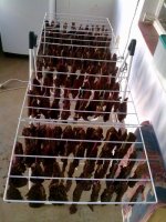 162 pcs biltong 06-11.jpg