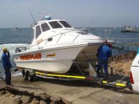 Veilig terug (Small).jpg