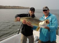 Corvina nr 3.jpg