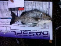 IMG00020-20110730-0957.jpg
