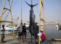 315 kgs Carlos Jan Jindungo Nelson.jpg