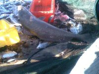 19042011_001_ copy.jpg