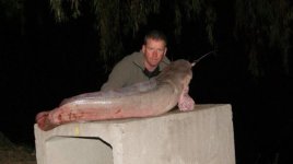 Catfish - bloemhof 3.jpg
