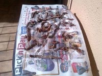 Bellville-20120212-00474.jpg