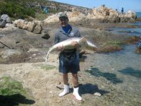 IMG_0868.JPG