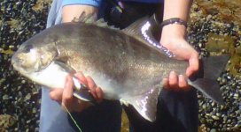 IMG00376-20111126-1015.jpg