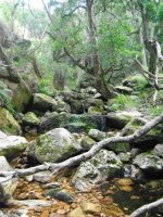 DSCF0680.JPG