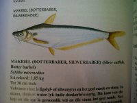 IMG-20120130-00346.jpg