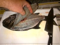 Brackenfell-20120316-00218.jpg
