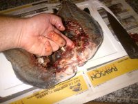 Brackenfell-20120316-00219.jpg