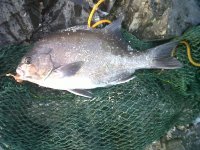 IMG-20120316-00064.jpg