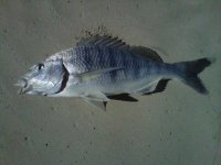 IMG-20120321-00022.jpg