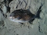 IMG-20120321-00028.jpg