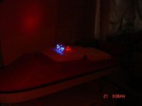 DSC09757.JPG