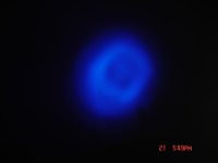 DSC01302.JPG