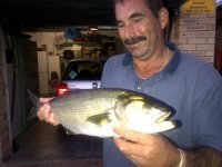 Brackenfell-20120325-00276.jpg
