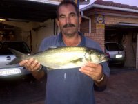 Brackenfell-20120325-00275.jpg