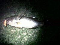 IMG00059-20120201-2146.jpg