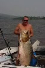 46kg tiger.jpg