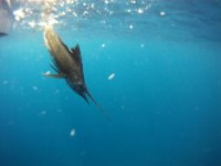 vlcsnap-2012-03-23-12h49m44s95.jpg