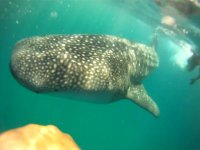 vlcsnap-2012-03-24-09h18m58s112.jpg