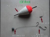 resize elf float.jpg