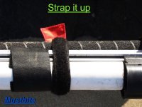 resize strap it up.jpg
