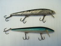 S2010003.JPG