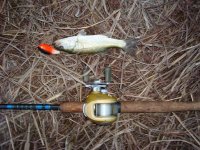 attie bass 020.jpg