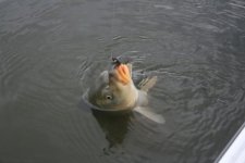 IMG_7025_1.JPG