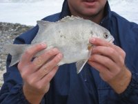 IMG_0471.JPG