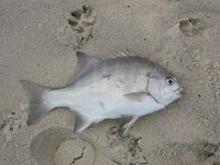 IMG_0470.JPG