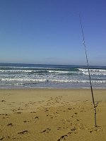 IMG-20120415-01086.jpg