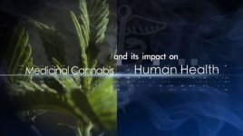 Medicinal_Cannabis_Impact_on_Human_Health.jpg