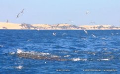 IMG_9447.JPG