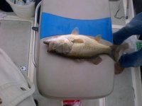 IMG-20120905-00149.jpg