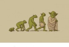 yoda 1.jpg