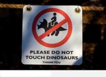 dino.jpg