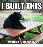 bear.jpg