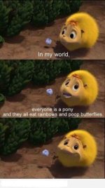 pony.jpg