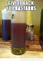 bee.jpg