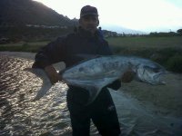 IMG01071-20120402-1742.jpg