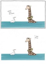 floaty1.jpg