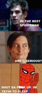 spidy1 copy.jpg