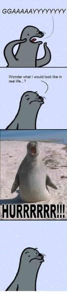 wonder1.jpg