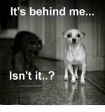 behind1Ã‚Â§.jpg
