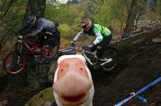 fotobomba-000.jpg