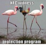 kfc1.jpg