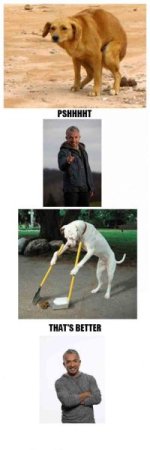 whisperer1.jpg